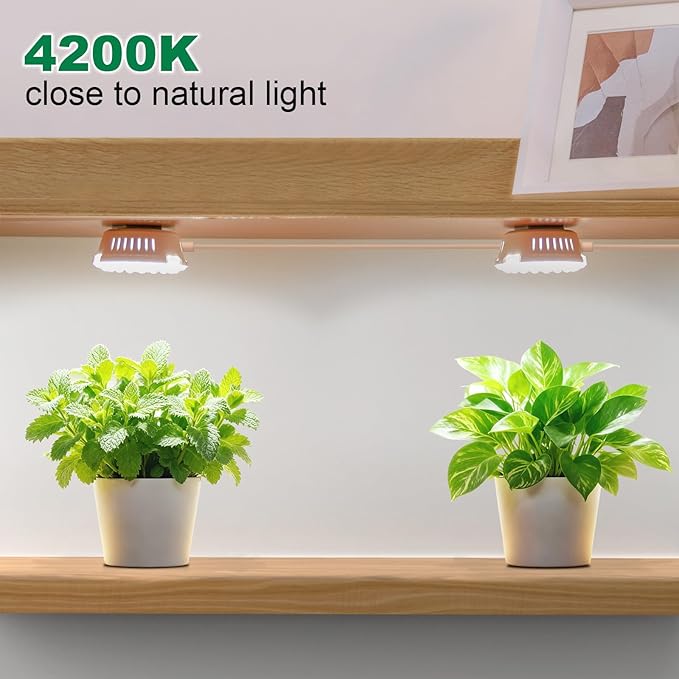 FOXGARDEN 2-Head Grow Light for Indoor Plant, 10W Full Spectrum Plant Light with Auto Timer, Hanging or Ceiling Lamp for Shelves and Indoor Gardens