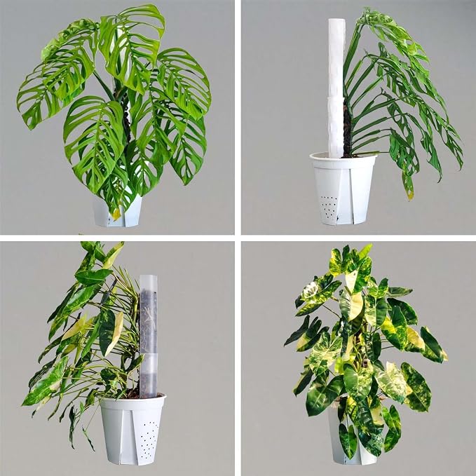 4 Pack 17 Inch Plastic Moss Pole for Plants Monstera, Plant Poles for Climbing Plants, Plant Support for Indoor Plants, Plant Support Poles Work with Sphagnum Moss