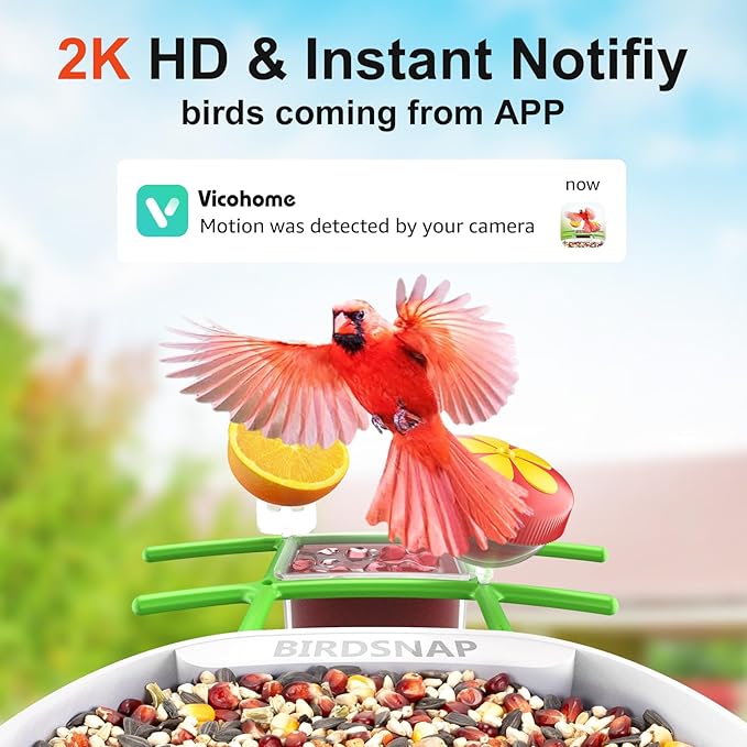 birdsnap® PAV-Bird Feeder with Camera,2K HD with 64GB Card, AI Identify Smart Bird House Cam Solar Panel,Live Stream,Motion Detection,Auto Record Video for Backyard Outdoors,Ideal Gift for Bird Lover