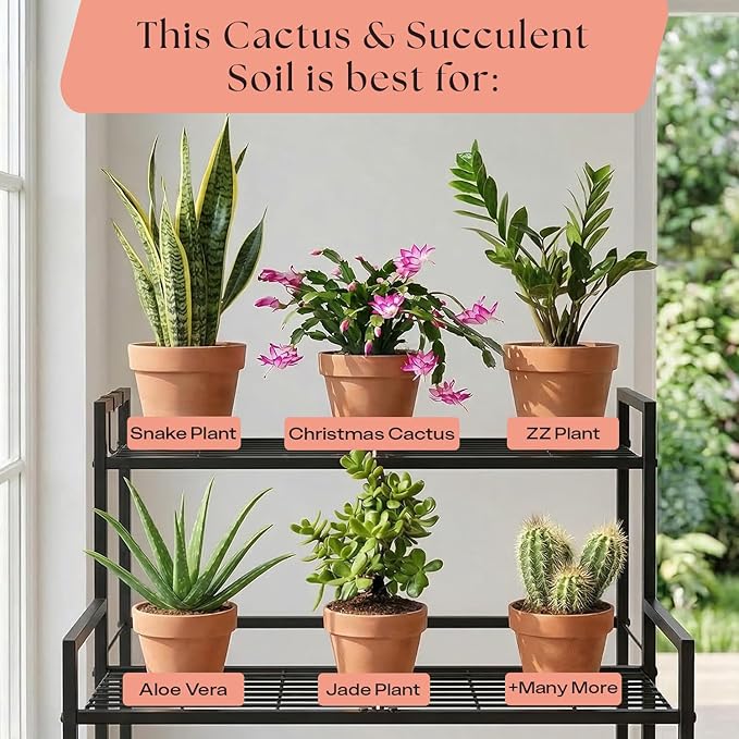 Rosy Soil Cactus and Succulent Organic Potting Soil Mix for House Plants - Fast Draining, Root Boosting, Peat-Free, Less Prone to Gnats - Drought-Tolerant -for AloeVera, Cacti, Indoor Succulents- 4qt