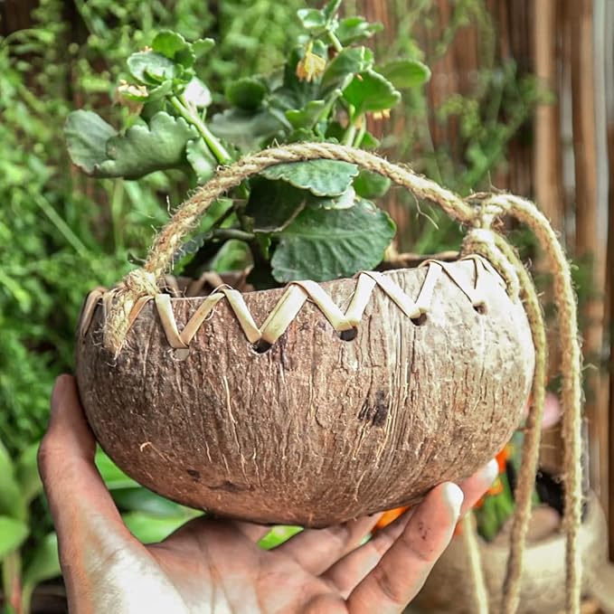 Rainforest Bowls Set of 2 Hanging Fiber Coconut Planters w/Drainage Hole- Perfect for Succulents, Flowers, Small Plants, Indoor & Outdoor Gardens- Handcarved by Artisans, Eco-Friendly & Sustainable