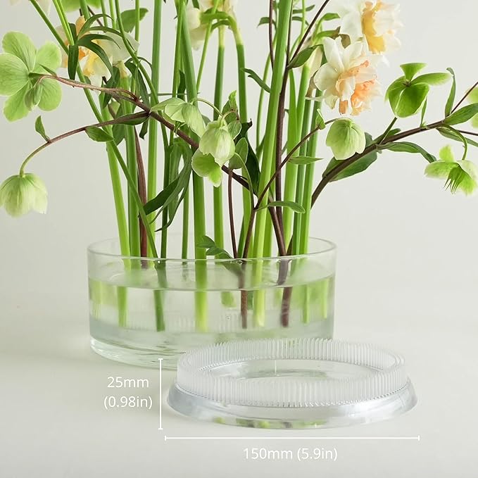 Flower Frog Ring 150mm/5.9" – Clear Plastic Kenzan-Style Arrangement Holder for DIY Floral Design, Ikebana, Home Decor & Wedding Centerpieces (1 Piece)