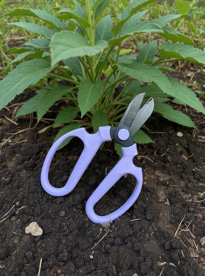 Garden Pruning Shears Scissors Carbon Steel Blades 6.7 In, Snapdragon - Lavender