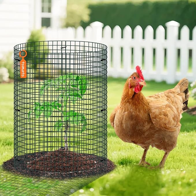 5 Pack Wire Plant Protector, 16"x12" Detachable Metal Plant Protectors Mesh, Garden Plant Protectors for Shrubs Flowers Vegetables to Keep Rabbit & Chicken Animals Out