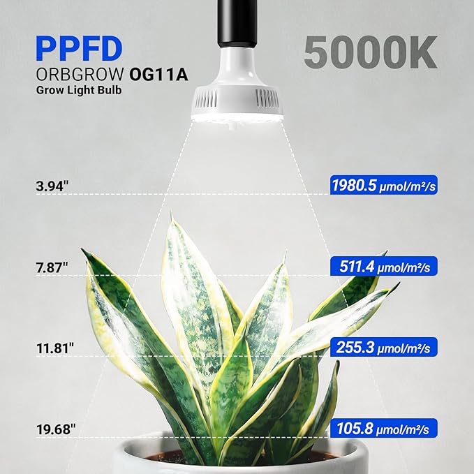 Barrina Orbgrow OG11A Grow Light Bulbs for Indoor Plants, Integrated Dimming & Timing, 5000K 33W(3 x 11W, 300 Watt Equiv), E26 Plant Light Bulb, Full Spectrum for Seeds and Greens, 3 Packs, White