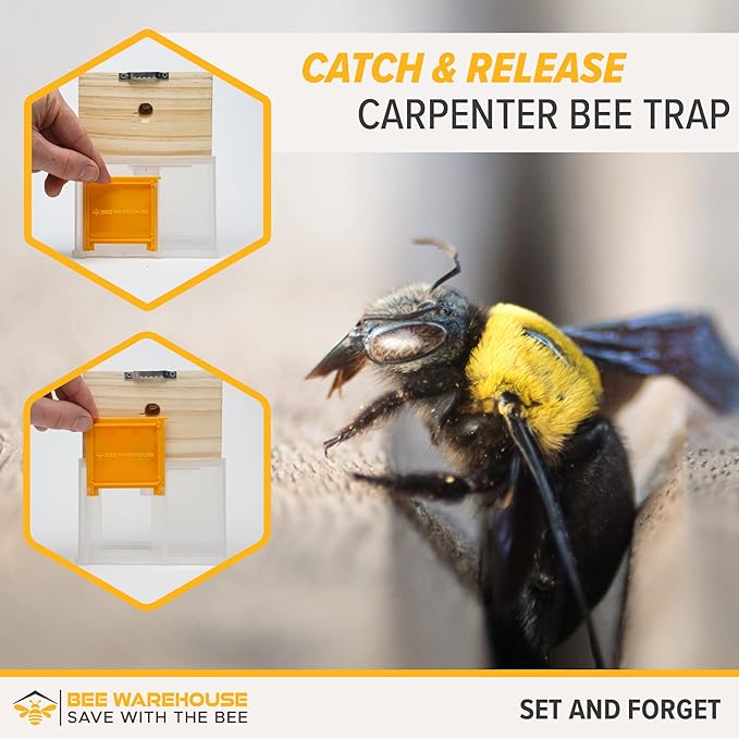 Carpenter Bee Trap - Wood Boring Bee Trap - Unique Catch & Release Outdoor Carpenter Bee Trap - Includes Hanging Hardware & 5 Bee Dams