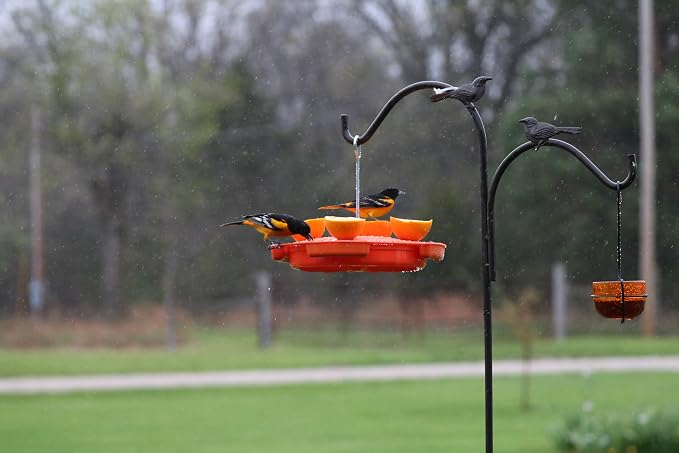 Songbird Essentials Ultimate Oriole Feeder, 32 oz, Orange, Holds Nectar, Jelly & 4 Orange Halves, Built-in Ant Moat