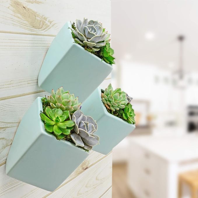Arcadia Garden Products WP22 Small Cube Wall Planter 3-Pack-Mint