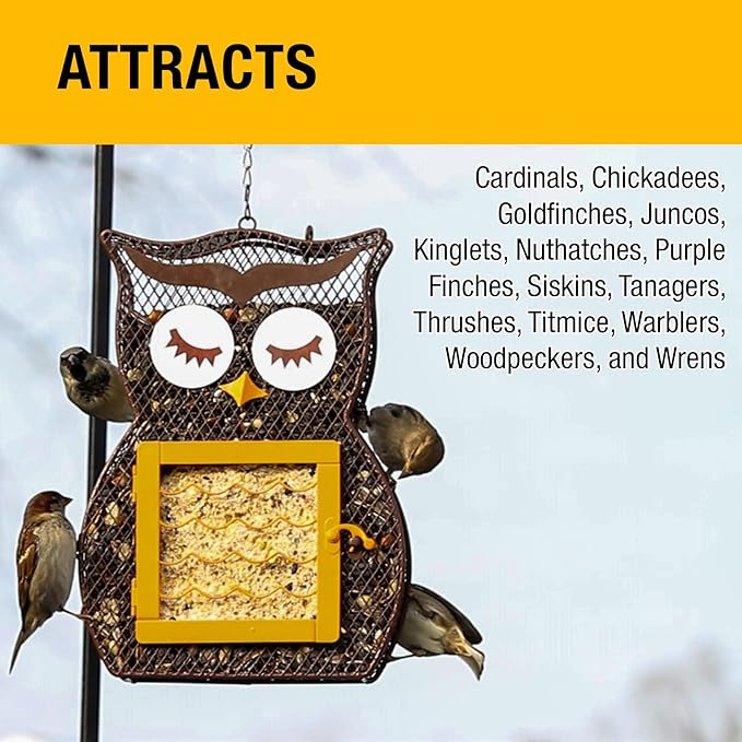Heath Whimsical OWL Suet 'n Seed Bird Feeder for Sunflower Seeds with 2 Free Bird's Blend Suet Cakes Included