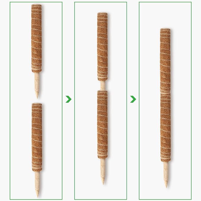 Moss Pole, Augshy 48 Inch Moss Poles - 4Pcs 12 Inch Coir Totem Poles Moss Climbing Sticks for Indoor Creepers Plant Support Extension