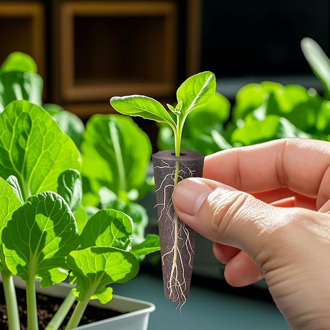 Doter 50 pcs Grow Sponges for Hydroponics Compatible with AeroGarden, Hydroponics Growing System Pods, General Hydroponics Rapid Rooter, Starter Plug for Seeds or Cuttings