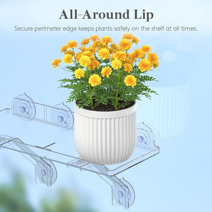 Lifewit 6" Extra Wide & Strong Window Plant Floating Shelves 2 Pack, Heavy Duty Acrylic Suction Cup Shelf, Sill Extender for Succulent Plants, Seed Starter Pots, Herb Planters 38 x 15 cm/15.2x6