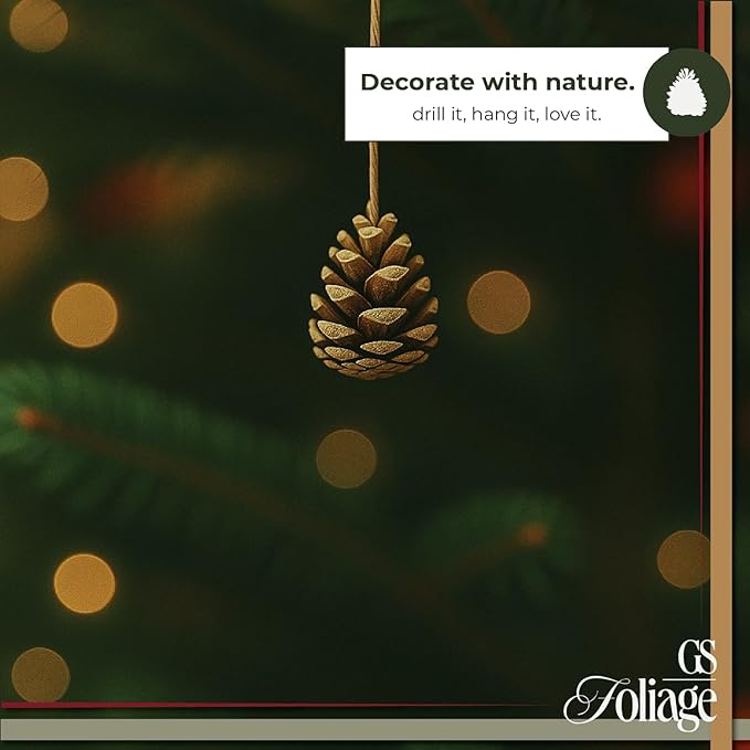 Natural Austriaca Pine Cones for Crafts - 2-3 Inch Real Pinecones for Christmas Decorating Ornaments, Holiday Decor Vase Filler - Rustic Woodland Dried Pine Cones - Set of 24 – Natural