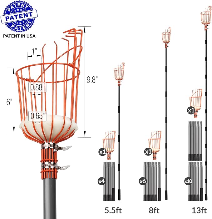 Walensee 13FT Fruit Picker Pole with Basket, 35-158 Inch Adjustable Mango Picker Tool, Stainless Steel Telescoping Cherry Picker for Tree, Apple Pear Lemon Orange Avocado Picking