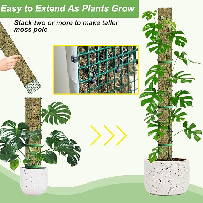 60"/40"/24" Metal Moss Pole, 6 Pack D Shape Sphagnum Moss Pole, Moss Poles for Climbing Plants, Monstera, Indoor Climbing Plants (2 Each of 60" 40" 24")