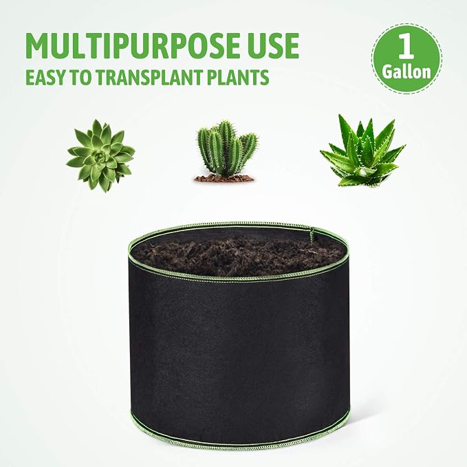 Delxo Garden Grow Bags 1 Gallon 10 Pack Plant Growing Bags Small Fabric Pots for Planting, Vegetable