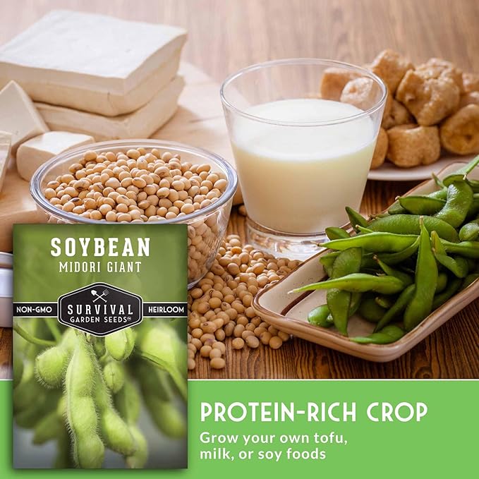 Midori Giant Soybean Seeds for Planting - Grow Protein-Rich Edamame Pods in Your Home Vegetable Garden - Non-GMO Heirloom Soy Bean - Survival Garden Seeds (1 Pack)