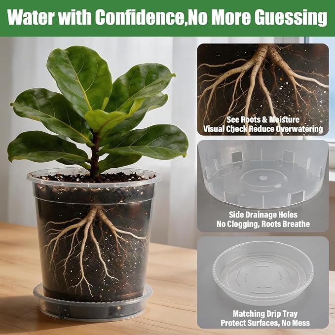 BTPLASTIK 5 Gallon Clear Nursery Pots with Saucers 5P, 12 Inch Round Plastic Plant Pots with Drainage Holes