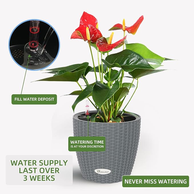 Dexceder 9x8 Self Watering Planter (Deep Gray Rattan) | Inner Pot Design, Thickened Table Flower Plant Pot with Water Level Indicator Indoor Outdoor