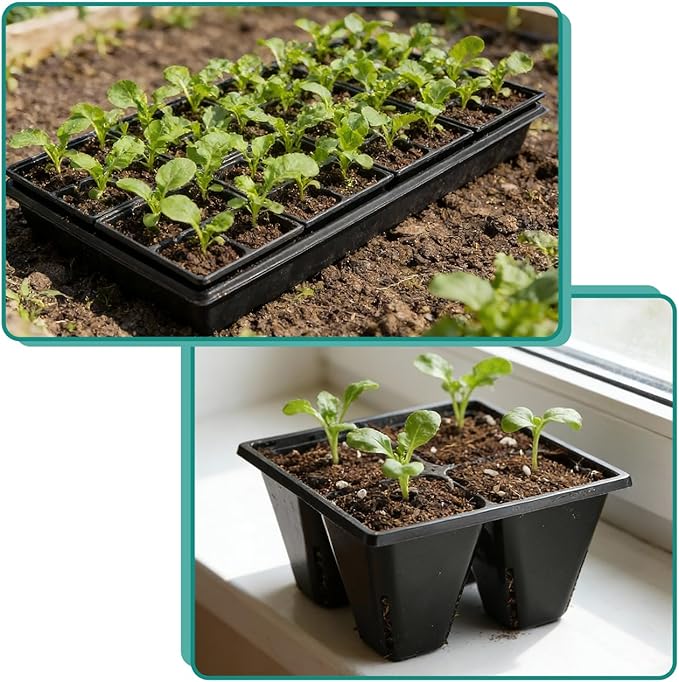 RooTrimmer 40 Pack Reusable 4-Cell Seed Starter Tray for Seedlings, Deep Large Cell Plant Starter Trays with Drainage Holes for Seed Germination, Easy Transplant, Fits Standard 1020 Flats, Black