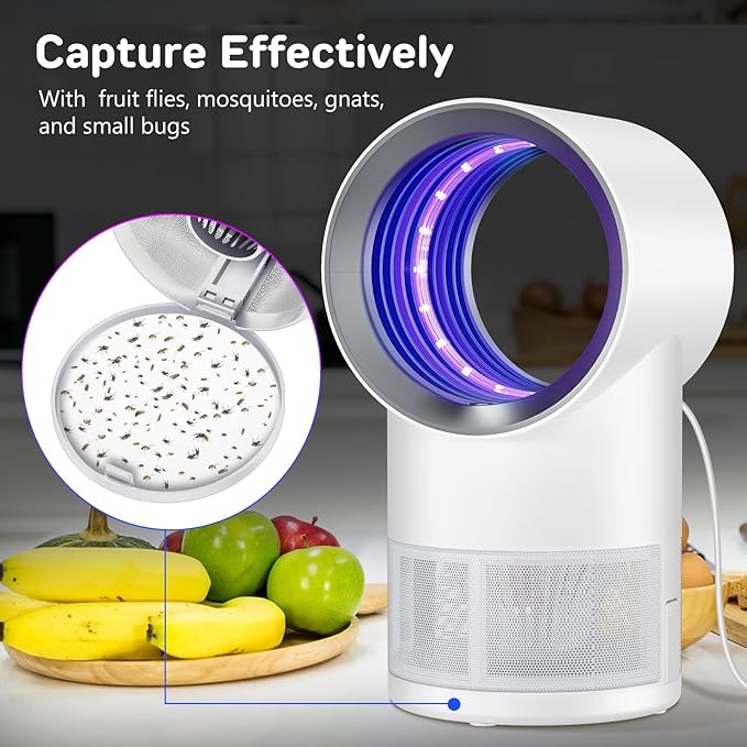 Fly Trap Indoor,Gnat Traps House Indoors, Indoor Insect Trap with Timer, Pack of 10 Refills (White)