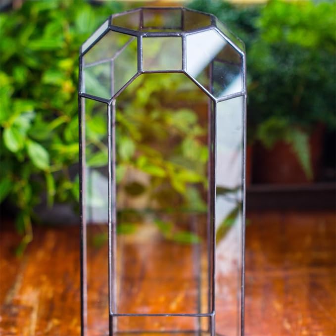 NCYP No Door Glass Geometric Terrarium for Plant, Succulent, Cacti - 5.5"x5.5"x12.8" Indoor Tall Octagon Glass Planter, Home Garden Office Decoration, Micro Landscape (Terrarium Only)