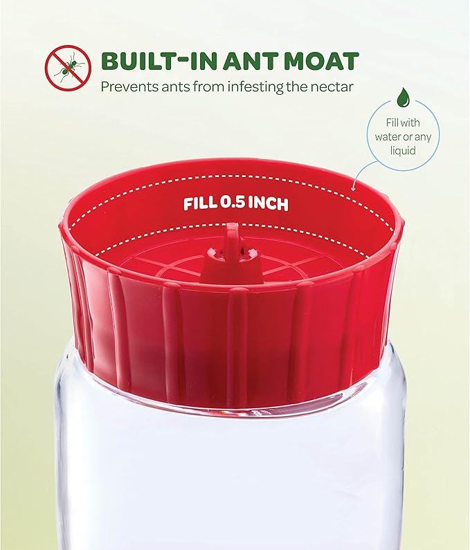 Hummingbird Feeder 20 oz. Glass Hummingbird Feeders for Outdoors, with Built-in Ant Guard - Circular Perch with 5 Feeding Ports - Wide Mouth for Easy Filling/2 Part Base for Easy Cleaning