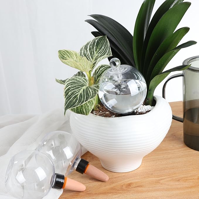 2 Pack Plant Watering Globes with Covers 17oz Self Watering Planter Insert, Plastic Water Bulbs, Indoor/Outdoor Plant Watering Devices for Automatic Drip Irrigation