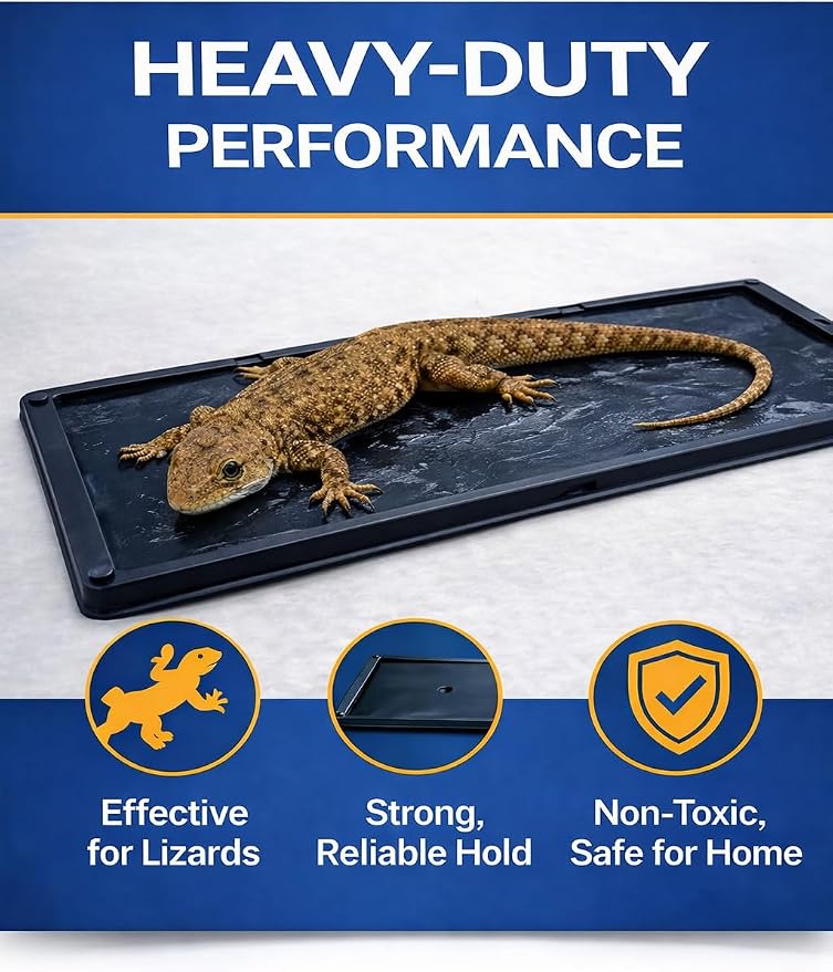 Glue Traps Indoor for Home, 12 Pack, Bulk Glue Traps for Rats, Mice, Snakes and Lizards, Non-Toxic, Adhesive Plastic Trays, Insect, & Spider, Pet Safe Pest Control