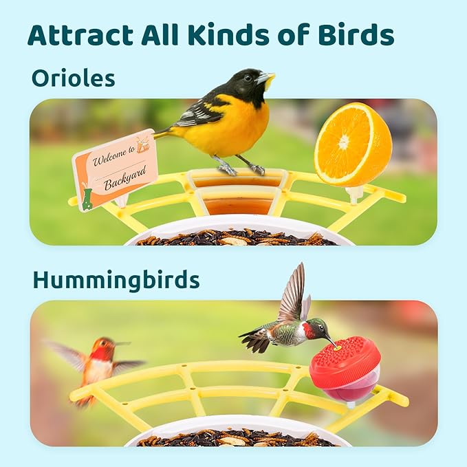 NETVUE by Birdfy Pro Smart Bird Feeder with Camera Solar Panel, Instant Arrival Alerts, Live Stream & Night Vision for Outdoors & Backyard Hummingbird, Cardinalis & Oriole Watching, Ideal Gifts,Yellow