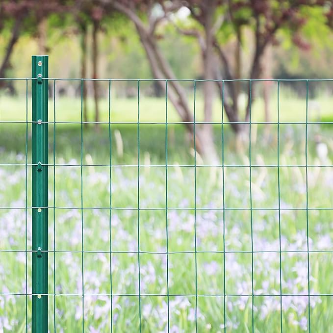 FOREHOGAR Green PVC Coated Welded Wire Fence 36 Inch x 25 Foot, 2 Inch x 3 Inch 16GA, Garden Border Fencing Roll Vinyl Coating Metal Wire Mesh for Yard Vegetable Plant Protection Poultry Netting