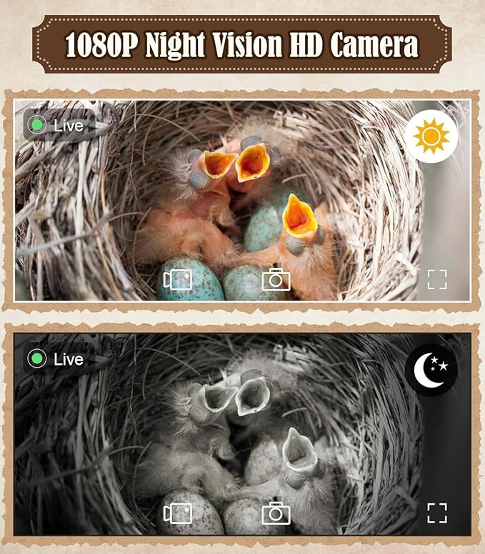 Bird House with Camera, 1080p HD Bird Houses for Outside with Nest Auto Capture Photo & Video, Smart Bird House with Camera Solar Powered 2.4G WiFi & App Notify in Real Time Dark Color (Dark, Normal)