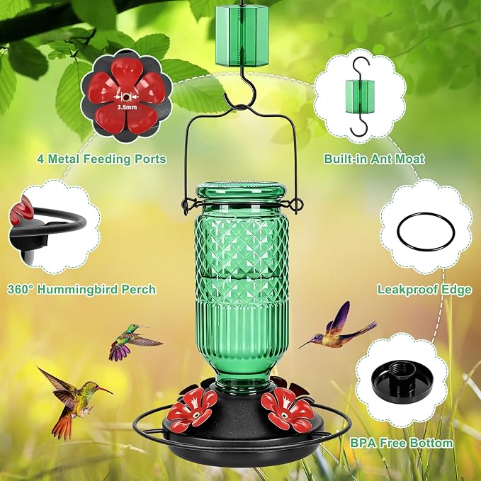 FEED GARDEN Glass Hummingbird Feeder, 16oz Outdoor Hanging Bird Feeder with Ant Moat, 4 Bee-Proof Feeding Ports, 360° Perch, Leak-Proof, Green
