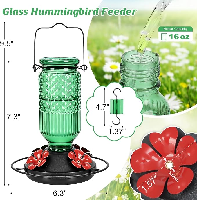 FEED GARDEN Glass Hummingbird Feeder, 16oz Outdoor Hanging Bird Feeder with Ant Moat, 4 Bee-Proof Feeding Ports, 360° Perch, Leak-Proof, Green