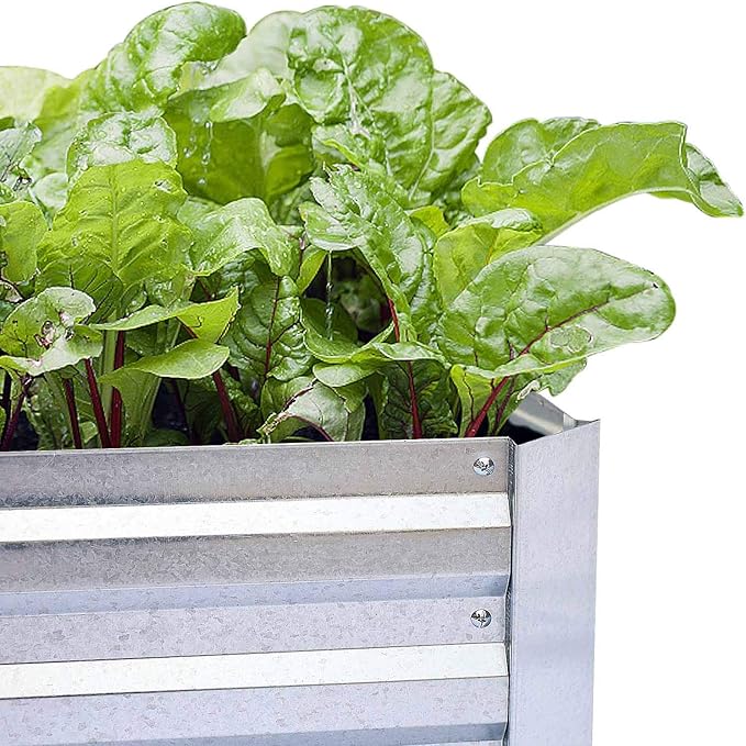 Galvanized Raised Garden Beds 2-Pack (6x3x1ft Each) – Popular Heavy-Duty Metal Planter Box with 4 Support Bars for Vegetables, Herbs, Flowers, Space-Saving Size for Small Yards & Patios