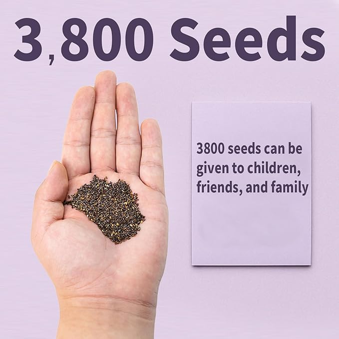 3800+ Lavender Seeds for Planting Outdoor - Non GMO Premium English Lavender Seeds for 2026, Lavender Plants or Dried Flowers, Wildflower Seed, DIY Essential Oils Perfect for Home Gardeners, Gifts