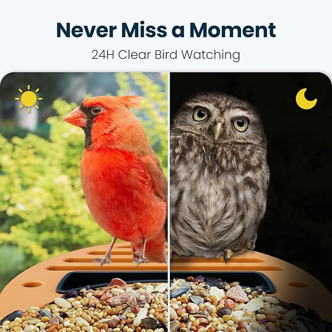 Smart Bird Feeder with Camera, 2.5K UHD Bird Feeder Camera Solar Powerd, Sensitive AI Identification, Instant Alerts Capture Video, IP66 Waterproof for Outdoor, Ideal Gift for Mom, Green