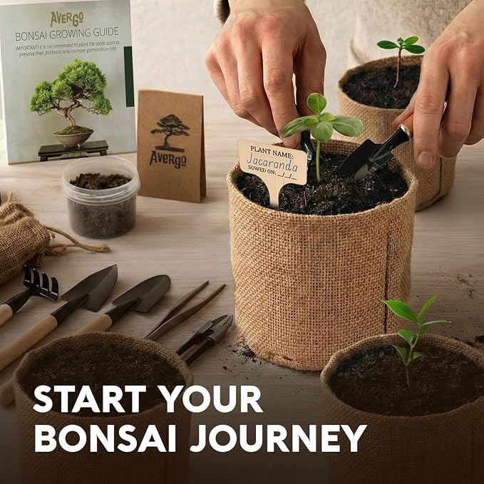 AVERGO Bonsai Tree Kit Deluxe - 5X Unique Japanese Bonzai Trees | Complete Indoor Bonsai Starter Kits for Growing Trees – DIY Gardening Gifts for Mother, Women & Men