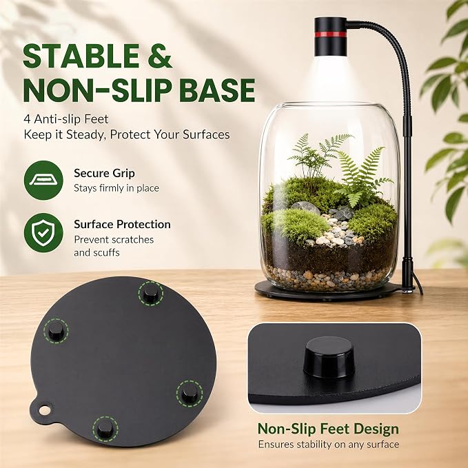 Glass Plant Terrarium with LED Grow Light, Grow Light for Terrarium, Small Desktop Indoor Planter for Venus Fly Trap, Moss & Succulents, Borosilicate Decor Jar for Plant Lovers