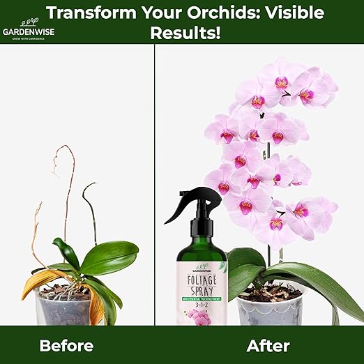 GARDENWISE Premium Orchid Plant Food Mist – Orchid Fertilizer Spray – Orchid Food Fertilizer for Blooming – Orchid Plant Care Formula 3-1-2 – Ready-to-Use (8 OZ)