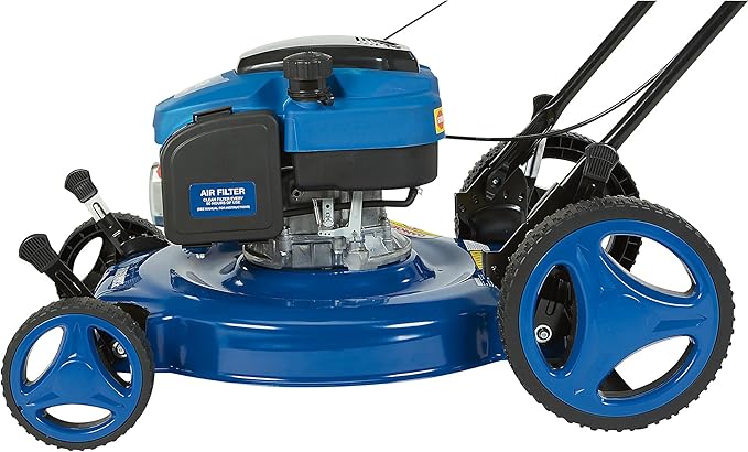 Powerhorse 21in. 2-in-1 Gas Lawn Mower, 200cc Engine