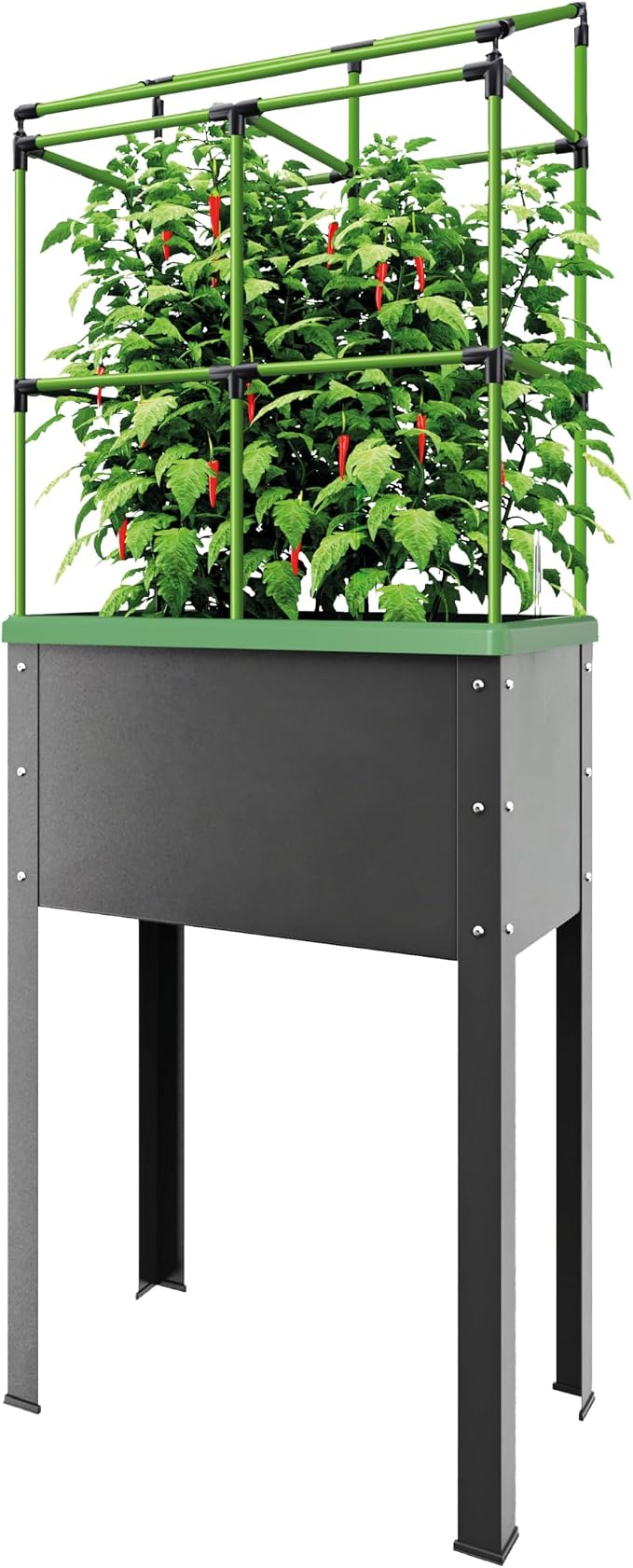 BioGreen Raised Garden Bed with Trellis Heidelberg | 11 gal | 1“L x 2.3“W x 7.6“H | Self-Watering Metal Planter Box | Ideal Growth for Climbing Plants