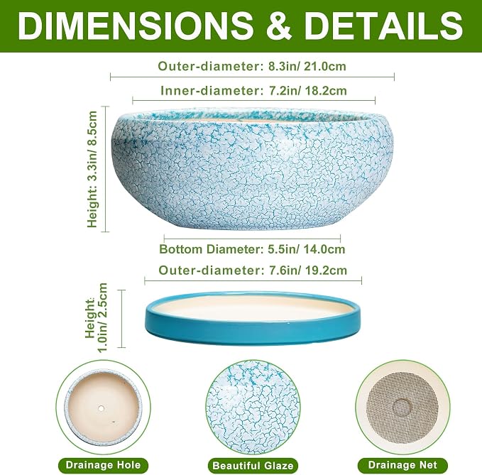 Succulent Pots 8 Inch - Ceramic Bonsai Pots with Drainage Hole and Saucer, Succulent Planters for Indoor Plants Outdoor, Round Shallow Planter Bowl, Porch Decor, Gardening Gifts, Blue