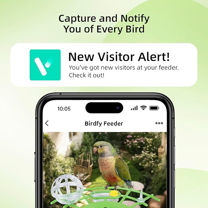 Bird Feeder with Camera,AI Identify Birds Species,Solar Powered,Auto Record Videos in Backyard,Instant Notifications,Ideal Gift for Family and Bird Lovers (Green)