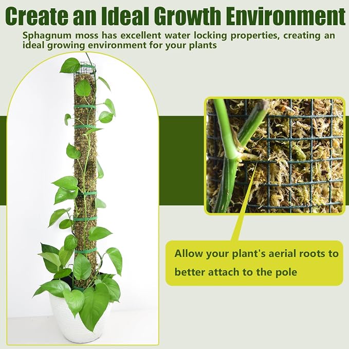 6 Pack Metal Moss Pole, 60"/40"/24" Moss Poles for Plants Monstera, Stackable Sphagnum Moss Pole, Plant Poles for Climbing Plants Work with Sphagnum Moss(2 Each of 60" 40" 24")