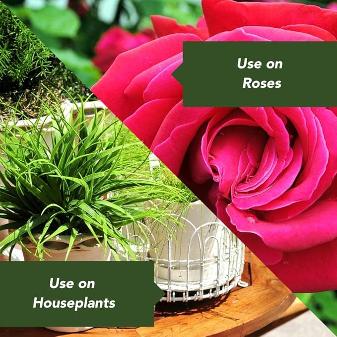BioAdvanced Disease Control for Roses, Flowers and Shrubs, Concentrate, 32 oz with BioAdvanced All-in-One Rose and Flower Spray, Concentrate, 32 oz