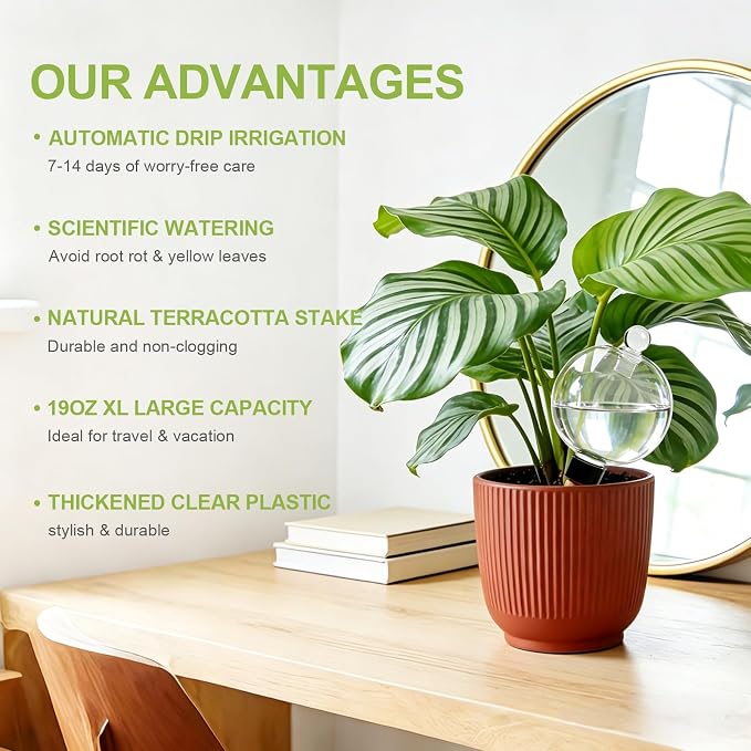 ZephyrBloom 19 Oz Large Self Watering Plant Watering Globes, Water Globes & Watering Bulbs for Indoor Outdoor Plants, Plant Water Feeders for All Plants While Away and Vacation Watering 4-Pack