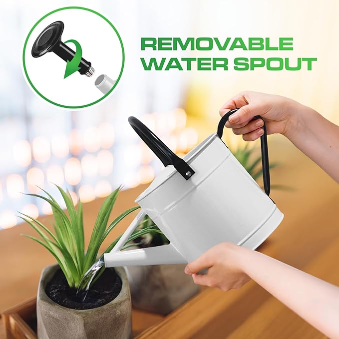 Plexon Metal Watering Can Outdoor 1 Gallon, Flower Plant Gardening Garden Large Watering Can Pot, Black Galvanized Steel Handles and Removable Spray Spout, White
