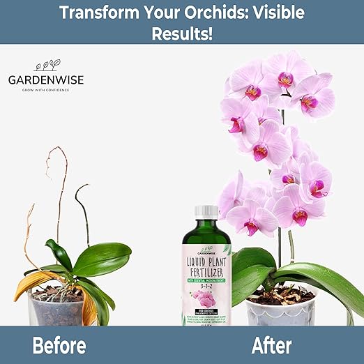 GARDENWISE Liquid Orchid Fertilizer Concentrate 3-1-2 with Micronutrients Orchid Care Made Easy (8 OZ)