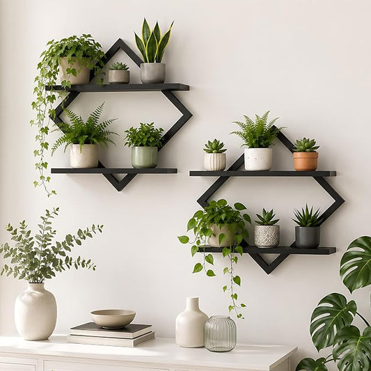 2 Pack Wall Planters for Indoor Plants, Black | 2-Tier Floating Wall Shelves, Wall Mounted Plant Holder Stand, For Bathroom Living Room Bedroom Kitchen Office